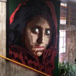 pasted image 0 (2)