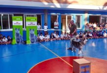 Campaña educativa para concienciar sobre la tenencia de mascotas tiendanimal educa